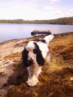 /album/patu/whoo13-319-jpg/